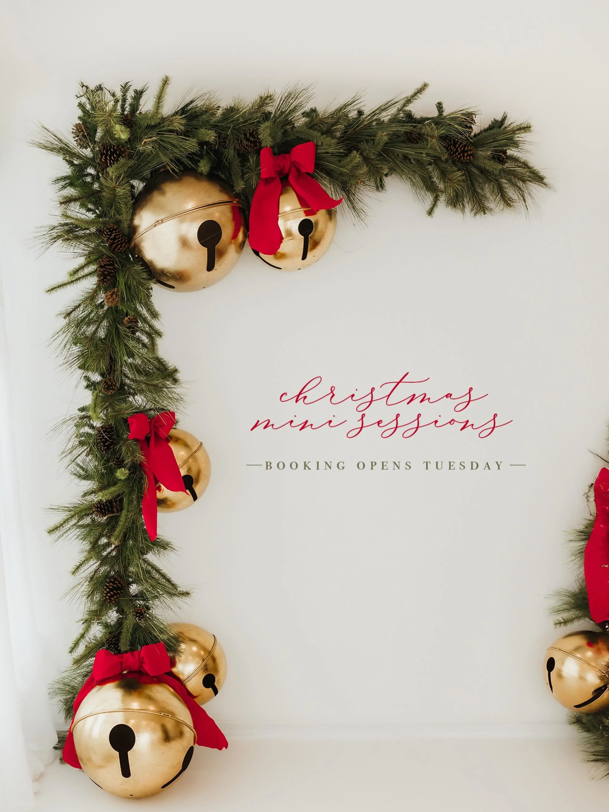 I&rsquo;m having some technical difficulties with my newsletter (technology just loves me!) &mdash; I am pushing booking for Christmas Minis to tomorrow (Tuesday) at 8pm! More details to come! 

#toledophotographer #perrysburgphotographer #sylvaniaph