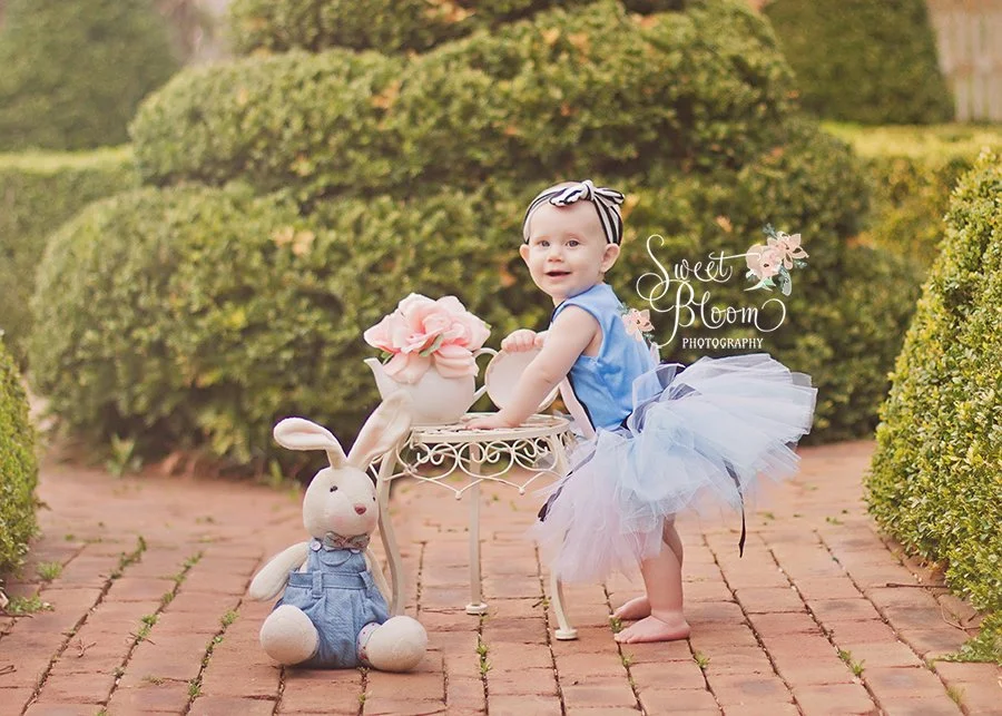 Alice In Wonderland Themed Newborn Session