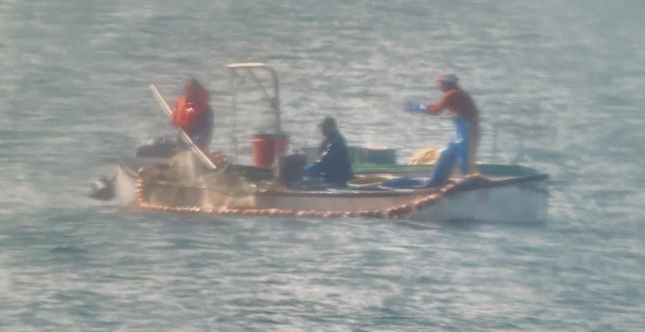 Purse-Seine Net Fishing