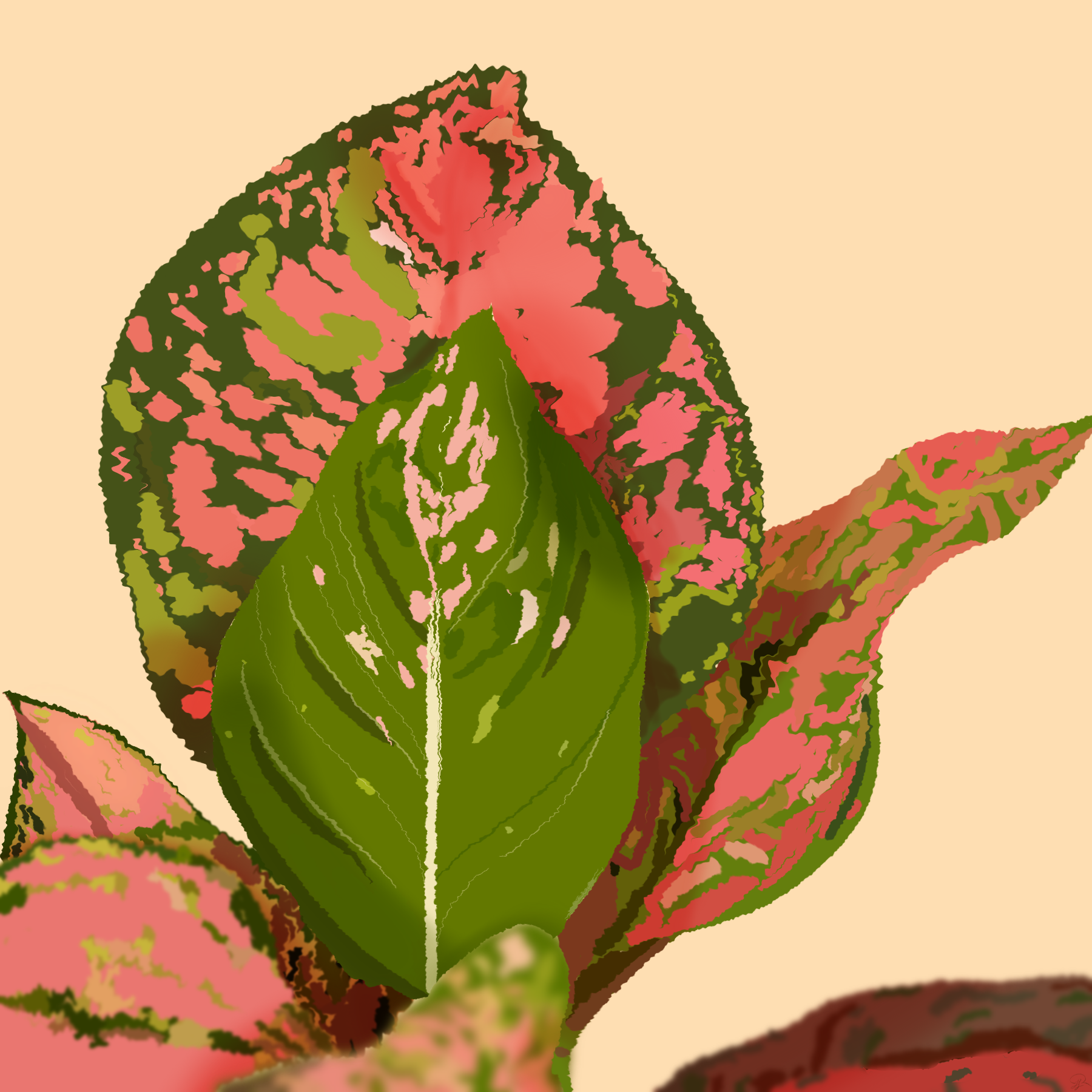 Rodriguez_T_313_raster_1 copy.png