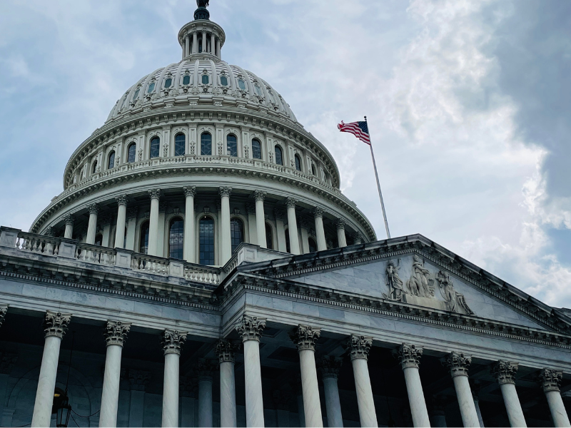 The United States Capitol building with a prominent dome, columns, and an American flag flying outside on a cloudy day.
