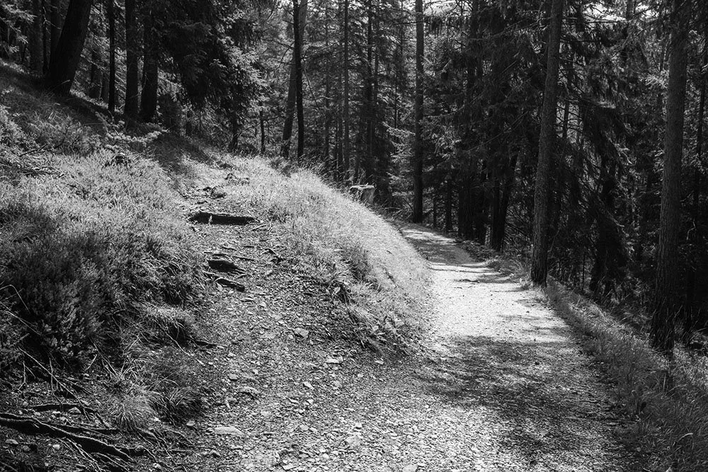 Barriers to Philanthropic Equity Part 2: Cultural &amp; Systemic Issues