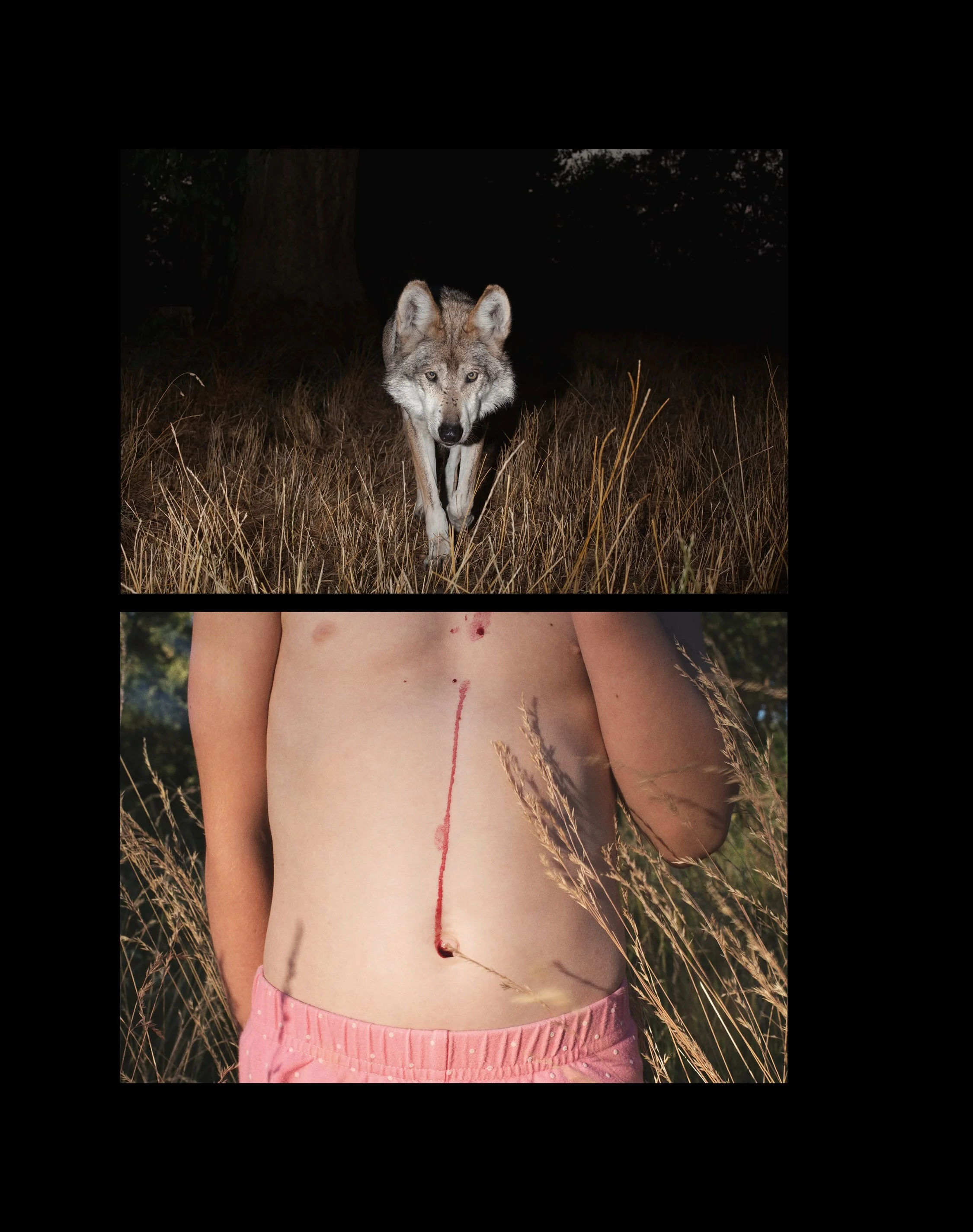 No one likes to be told to have children, except *maybe* when the one doing the telling is Jane Goodall? Seattle-based photographer @anniemariemusselman met the late primatologist in 2009 and was surprised to learn that one of her suggestions for bat