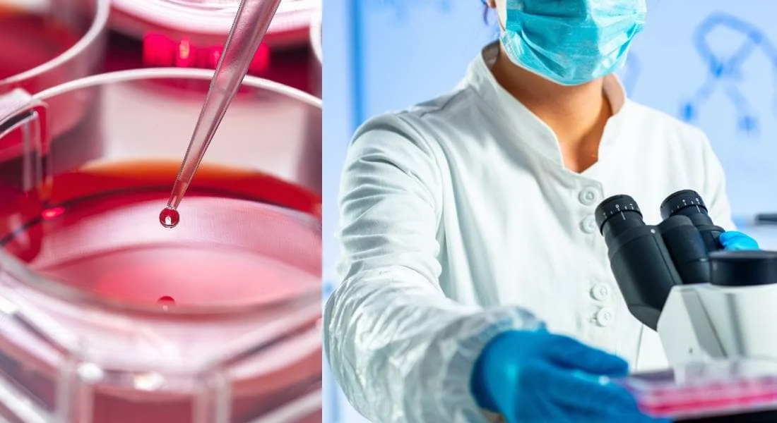 Conditions Treated by Ozone/UBI IV Therapy: Harnessing the Power of ...