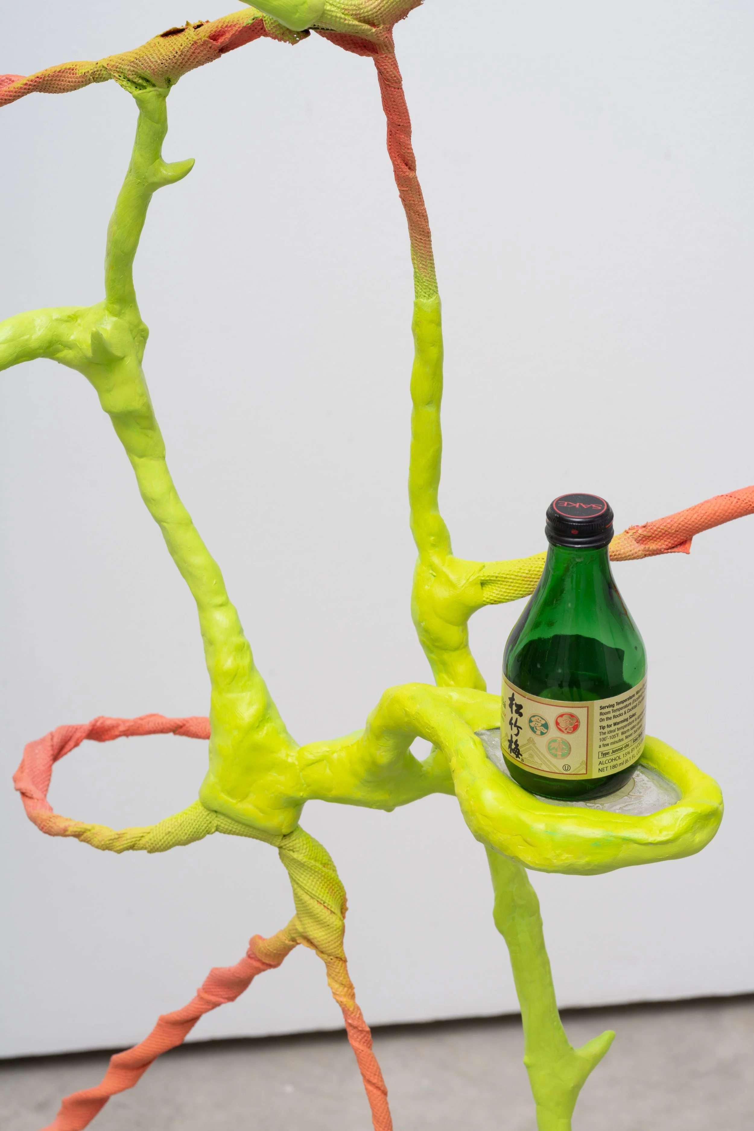 Kim Garcia, remedies, detail