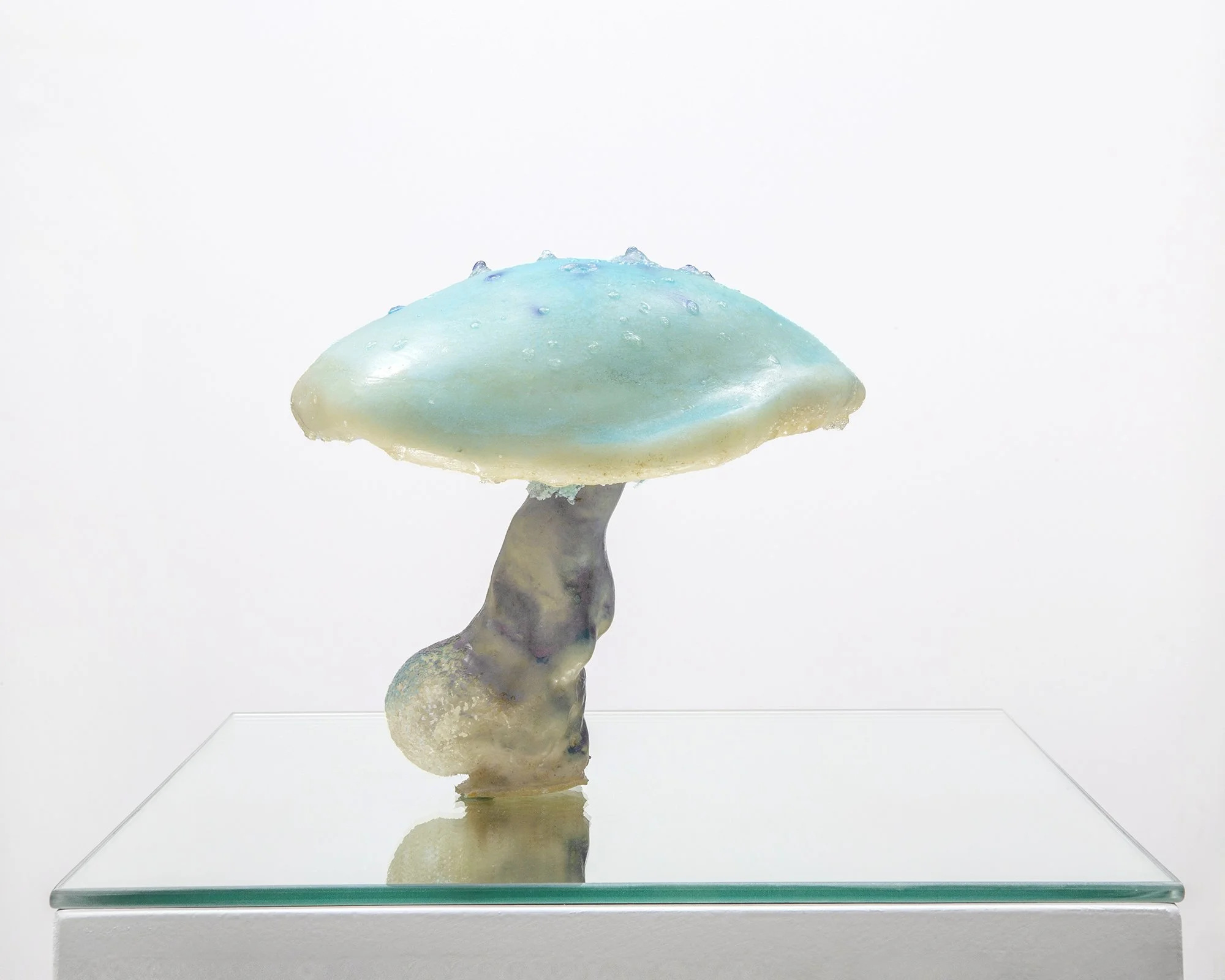 TOM LaDUKE,
Unknown Unknown, 2014 Salt, acrylic, CA adhesive and mirror,
7 x 8 x 6 inches