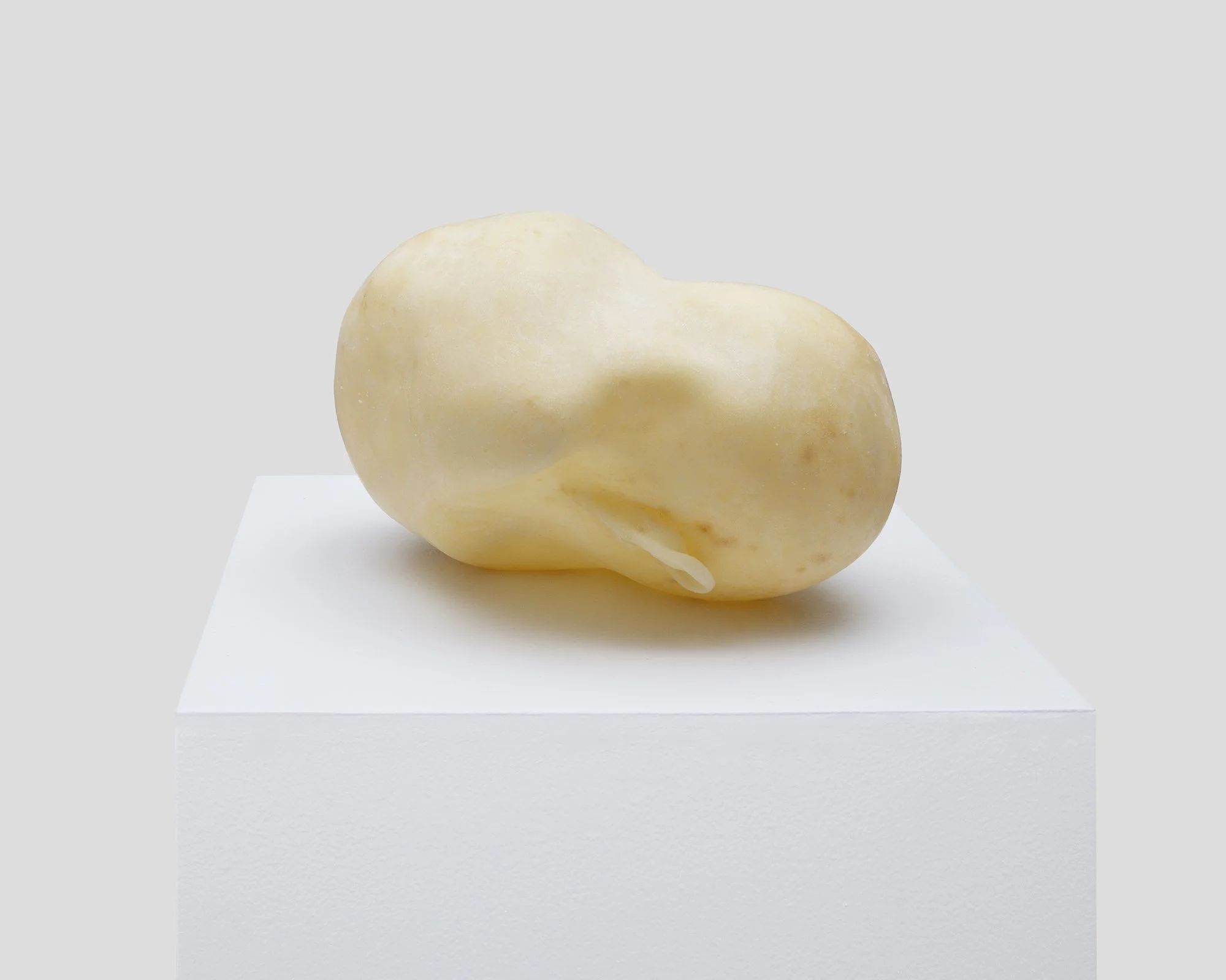 TOM LaDUKE,
Elipsis, 2013, Salt and Cyanoacrylate 8 x 12 x 9 inches