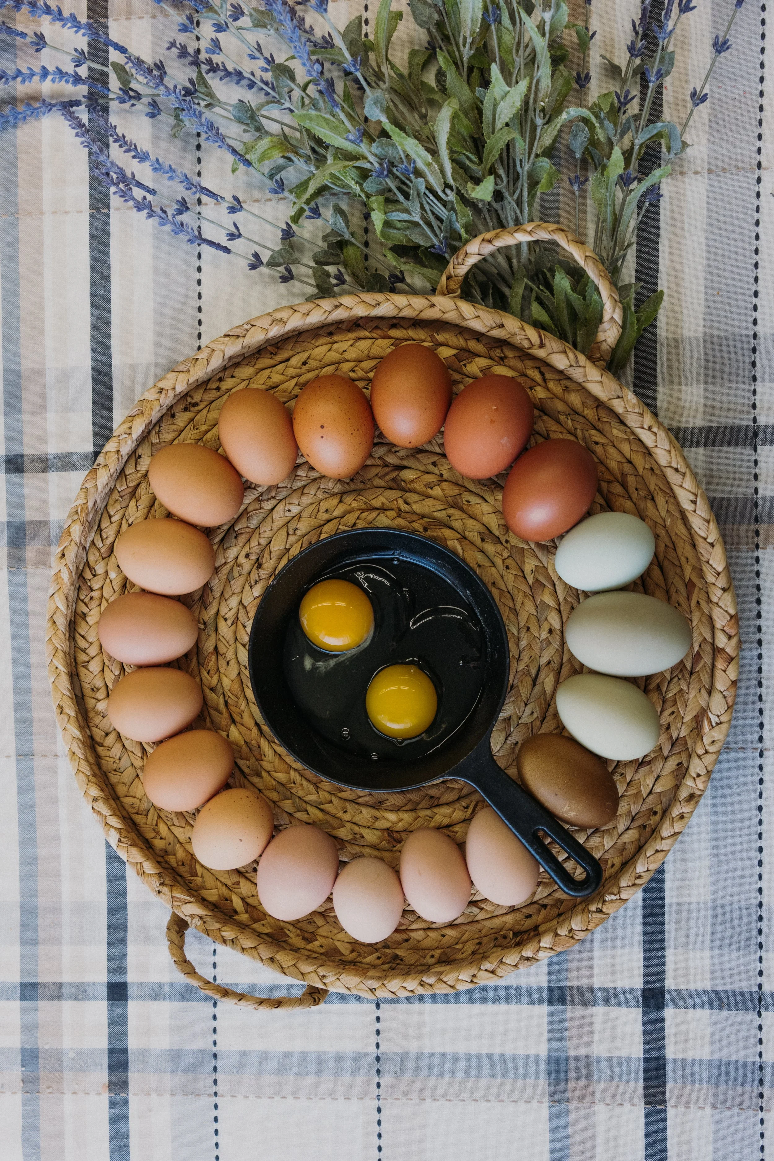 Farm Fresh Free Range Eggs