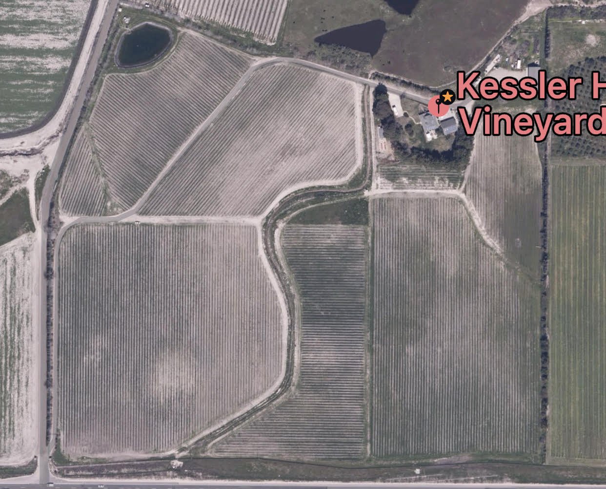 KH Vineyard Satellite.jpeg