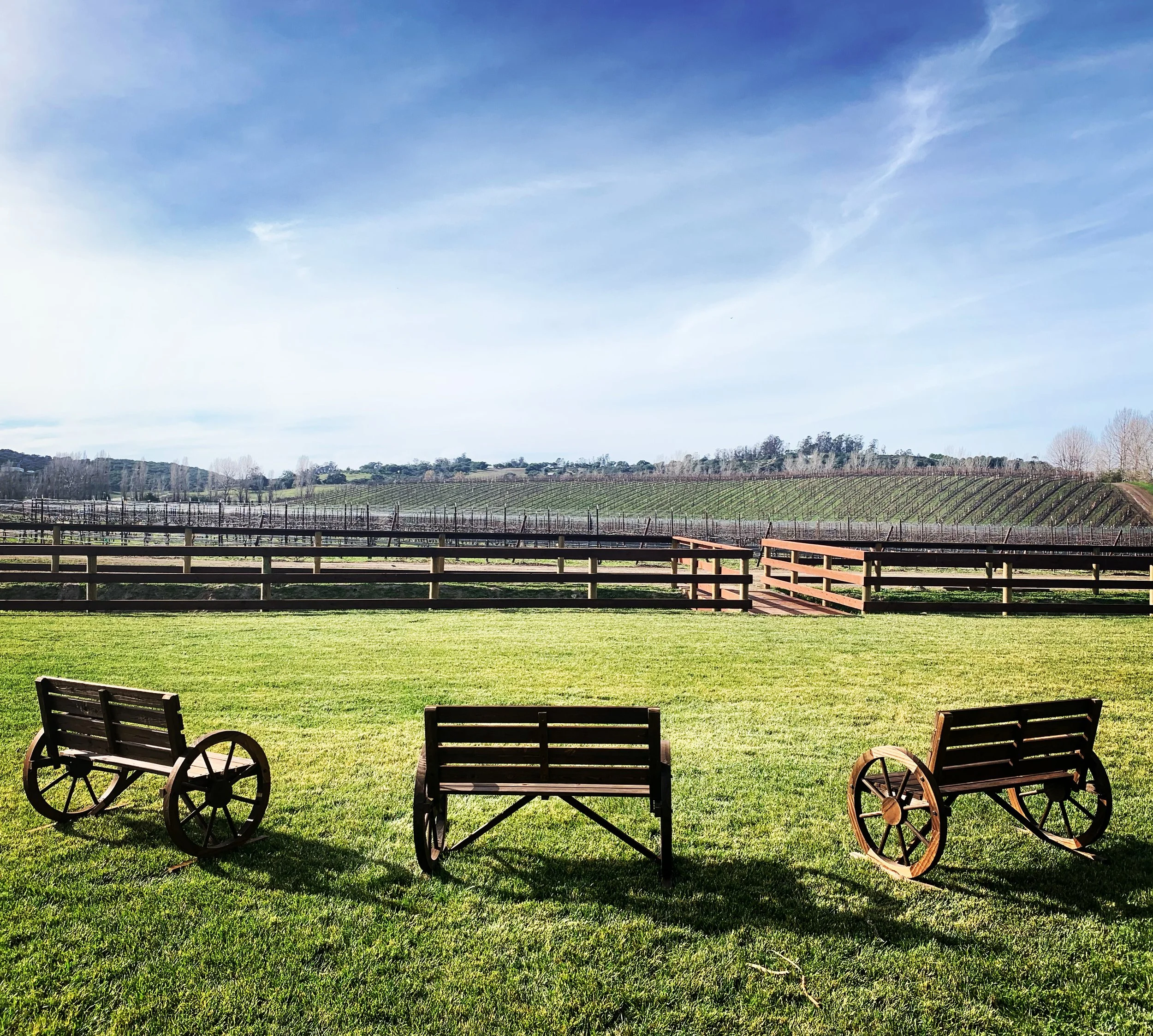 6F683ED0-EFD6-4135-9011-9AD70117FD7D 2.JPG