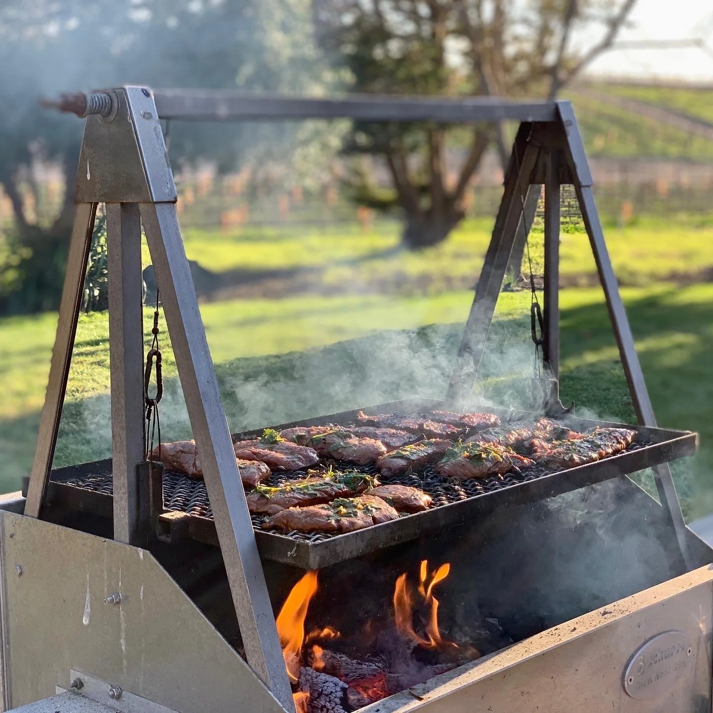 EB390E91-2557-4003-9CFA-A81C1F6CE314 2.JPG