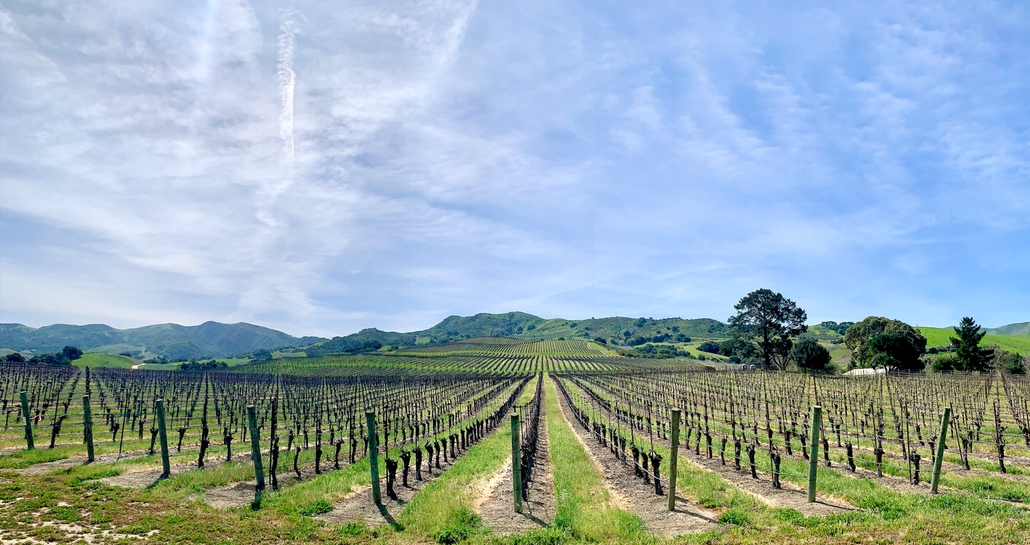 Santa Barbara Wine Events