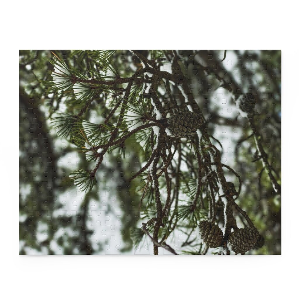 c8e1493d21ced5ab9b887147cfc70ea6