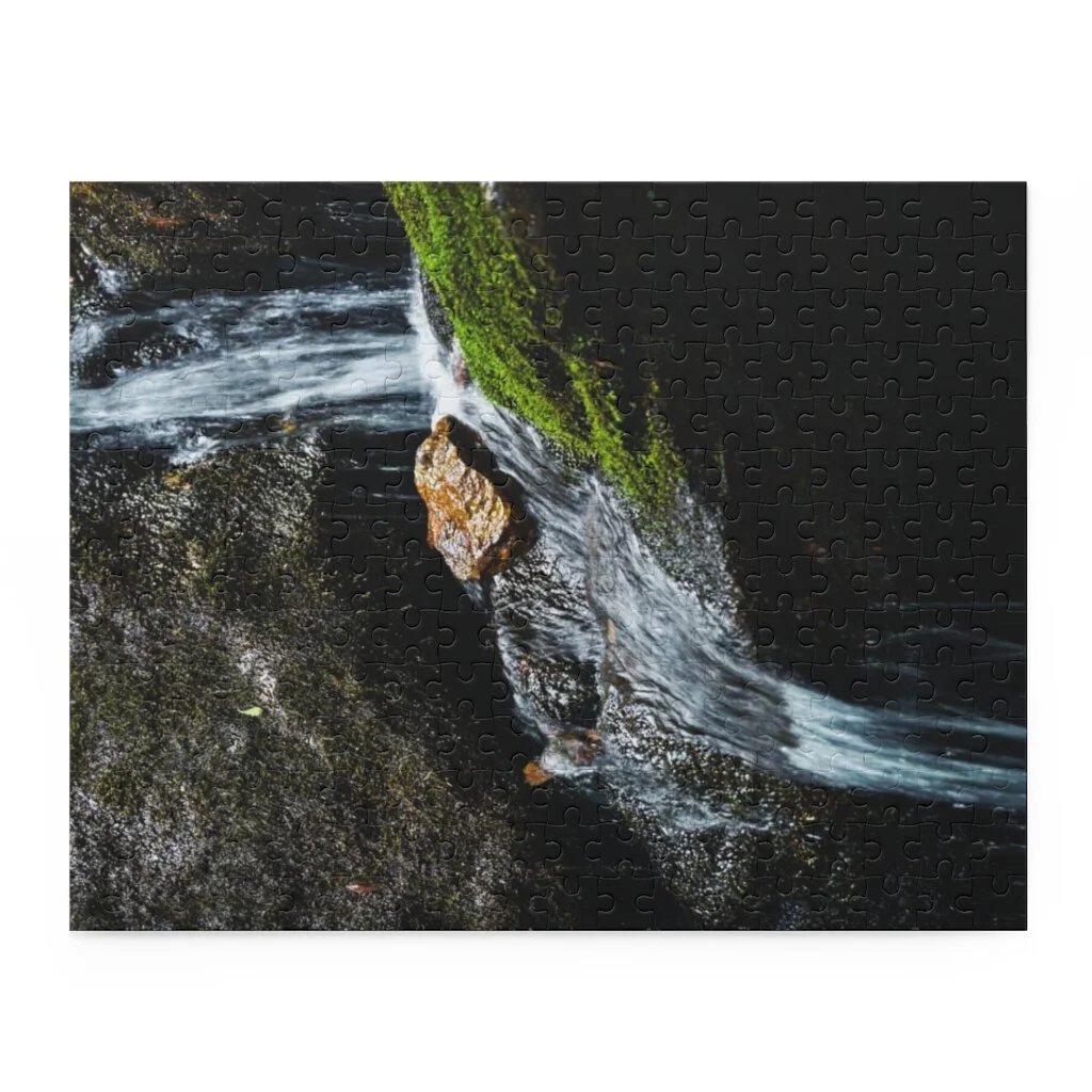 45a995de3778eb1c9b4ab4470c890498