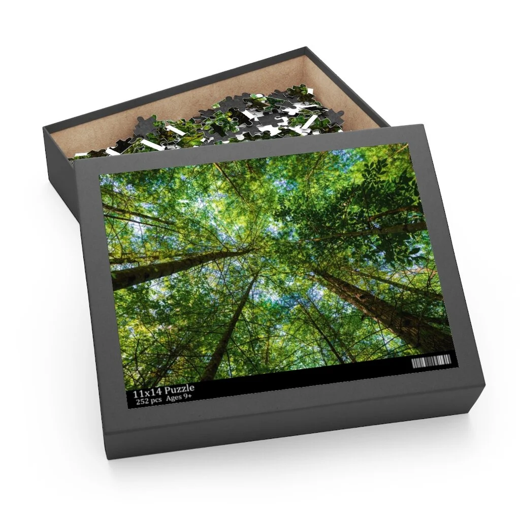 b8e25b3f7bdaa1b3c09a7a497b2604a8