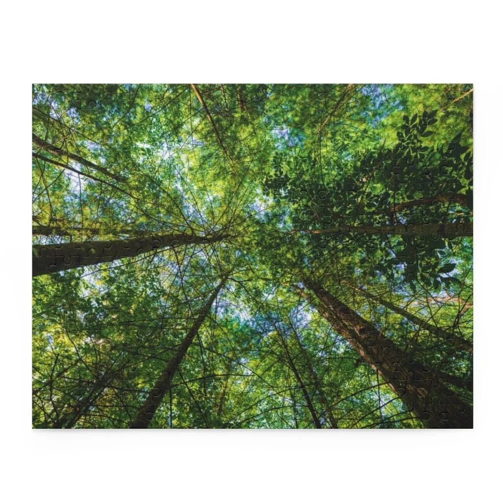 cea69b8a0e255f3aabba3b4cffdf1581