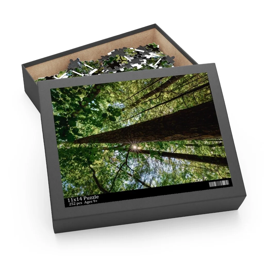 7addc3195edcf2f582e2532d70d5802c