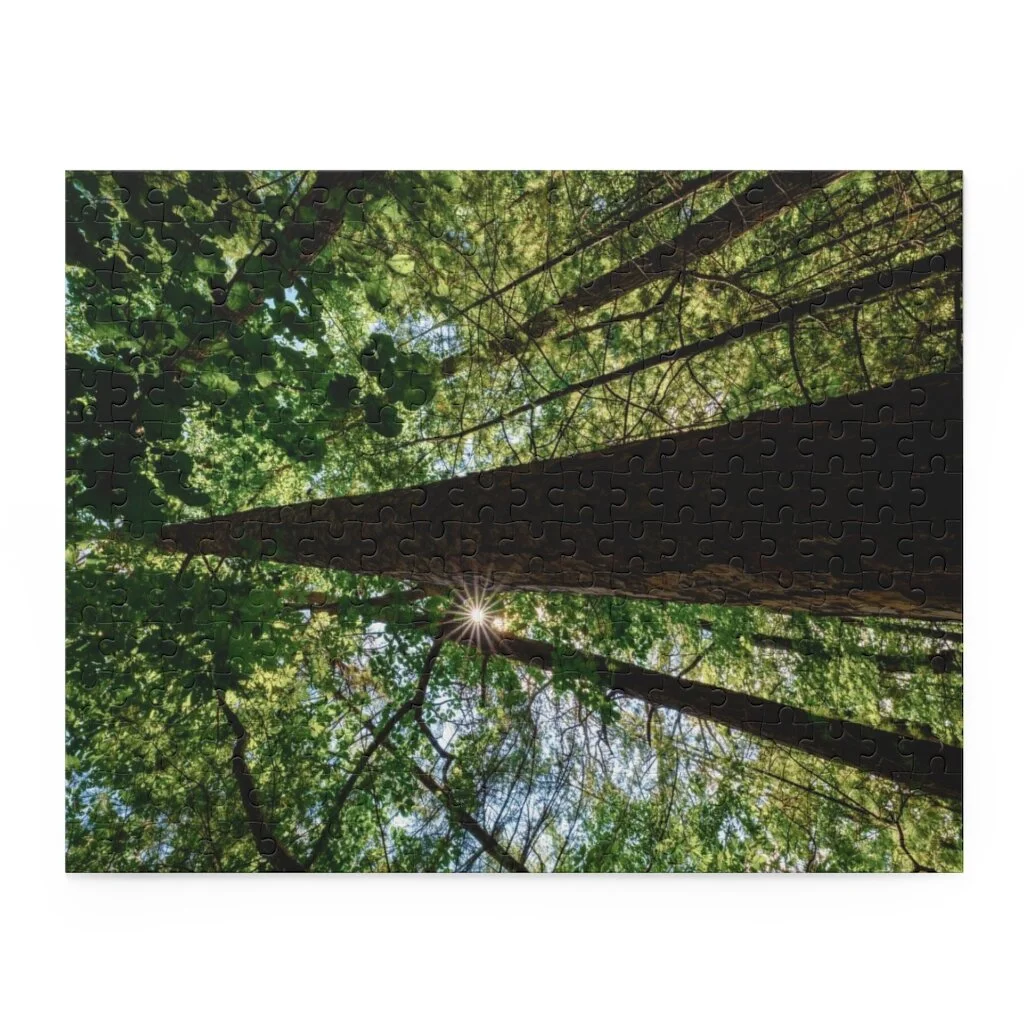 1b858bd27c8dd21fd8bc96f4f0456e7e