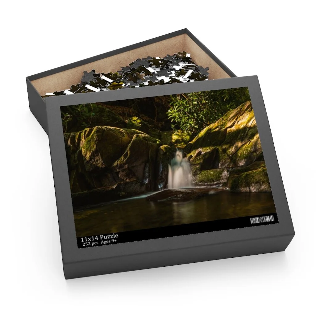 356aa0ddbb121876ee9038daa00cd3a1