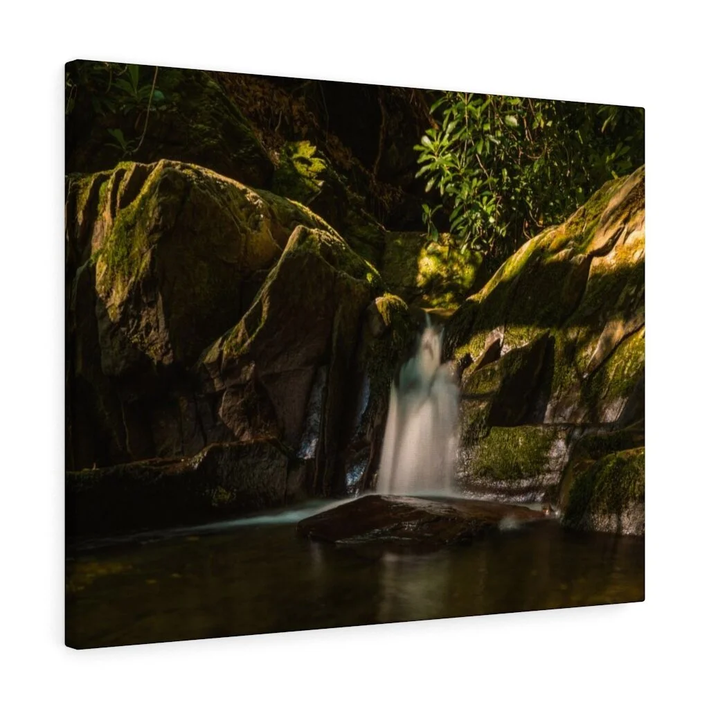 a3172af95f84e39e4648a5848390e49f