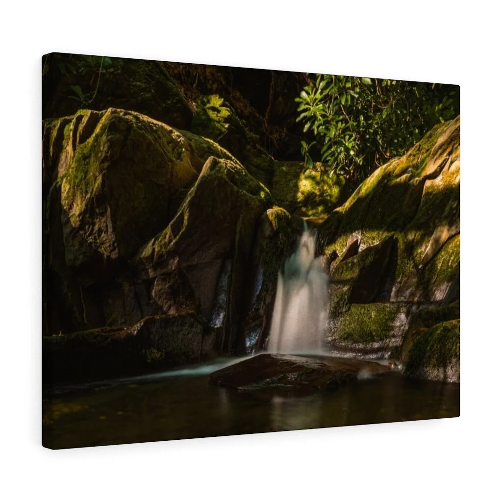 008d888f892a7457e4458c84c91bf323