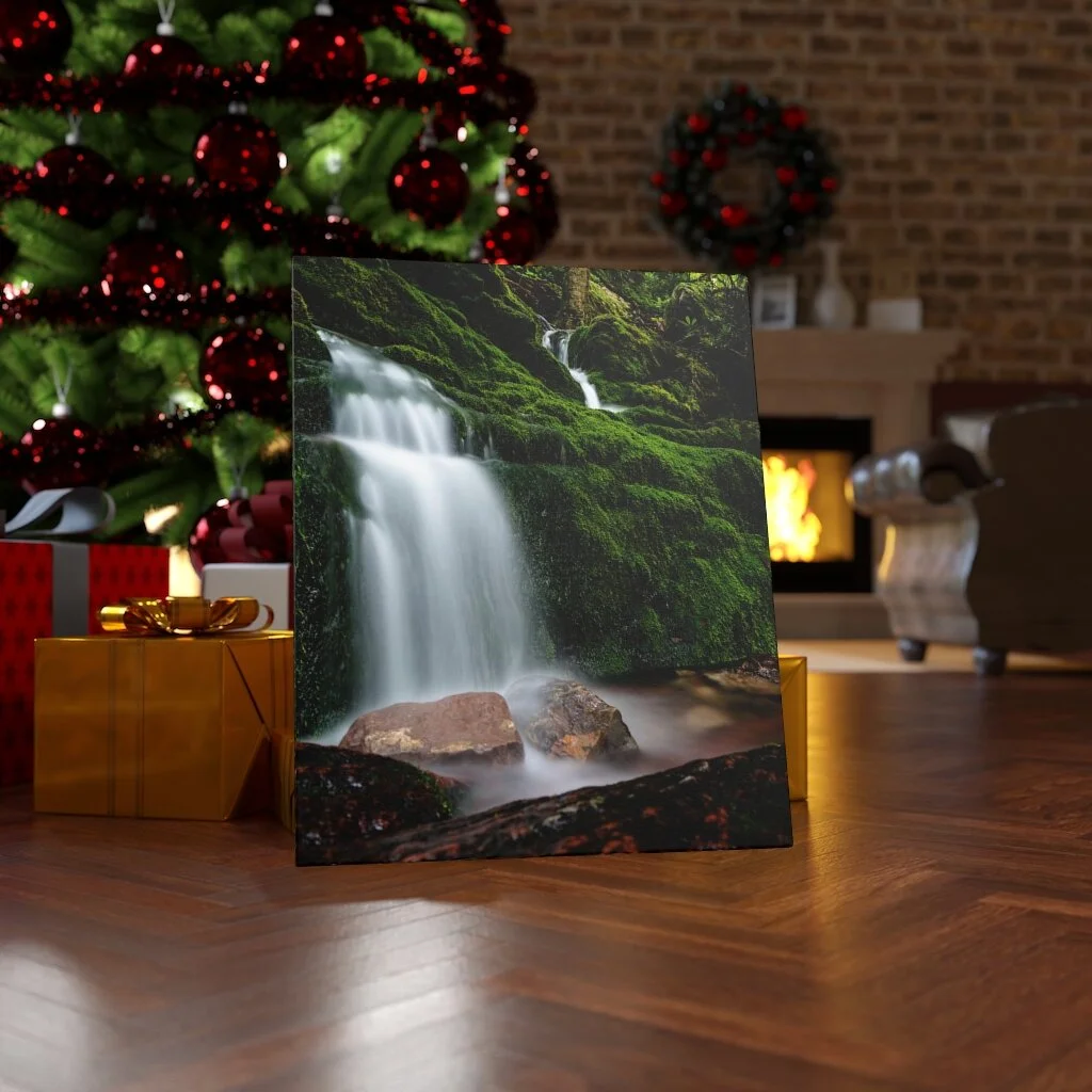 c781bd85acad0c69f43e41b2bb140d5b