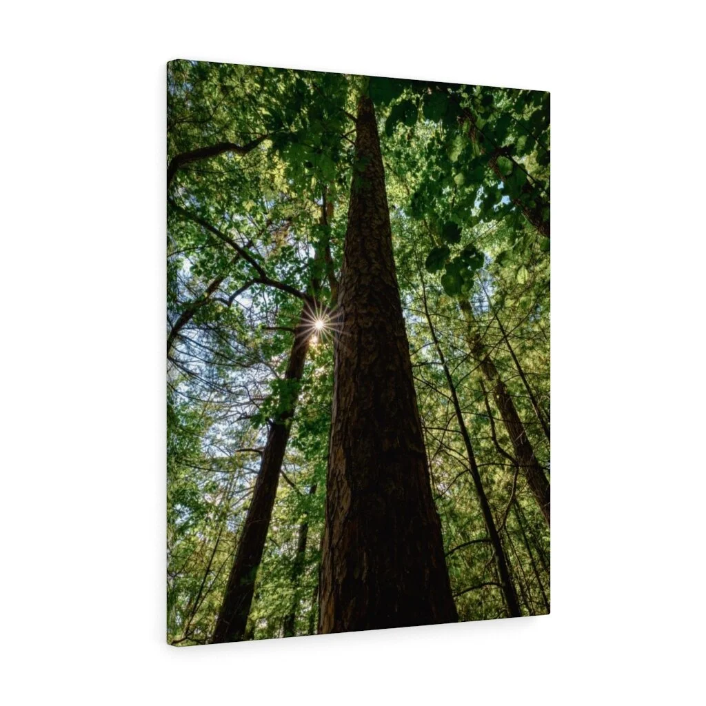 1ef9518ffbcb2fe1635e1e21e0f8f981