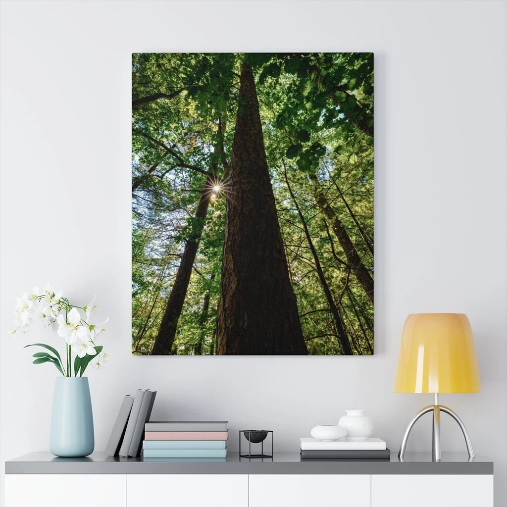 6dd2487f901726e005344436aafb9e02