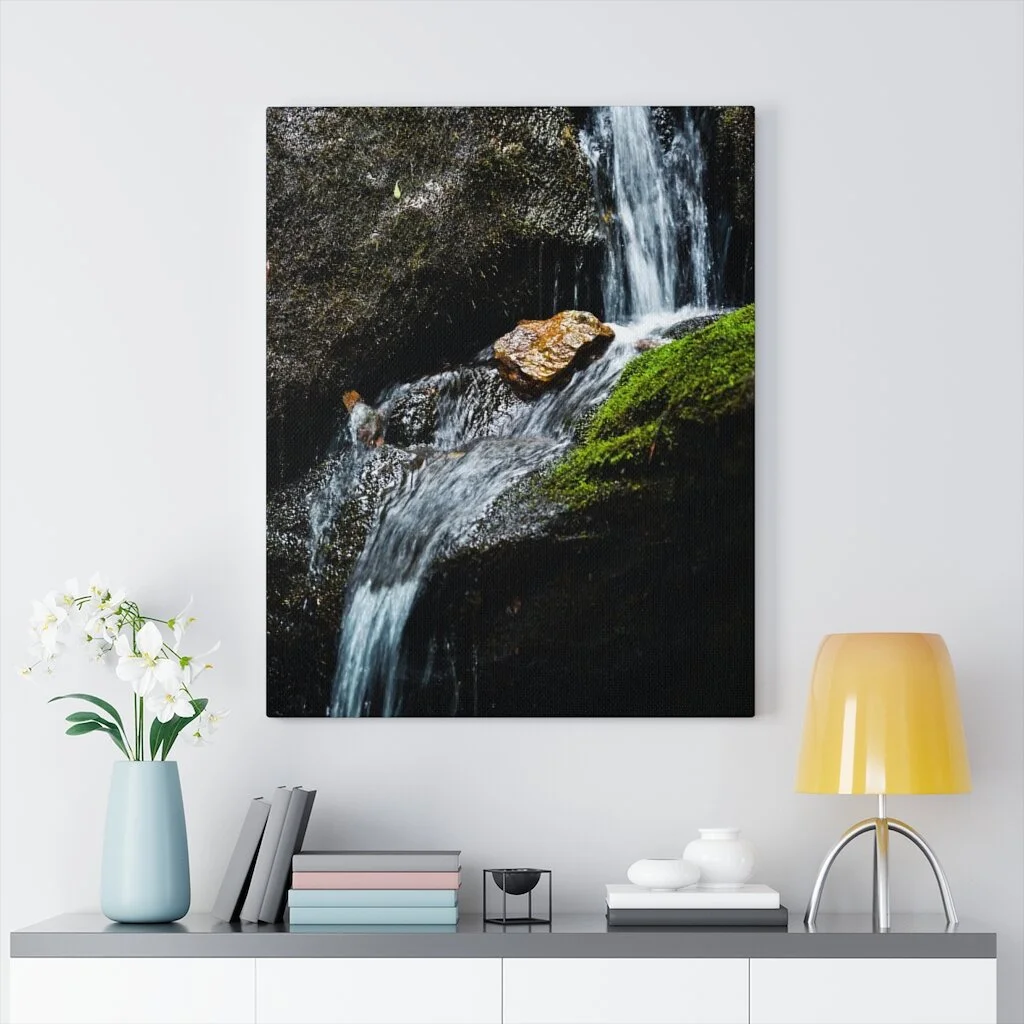 9e72aa44fdb144c6bc98882bc1a33ccd