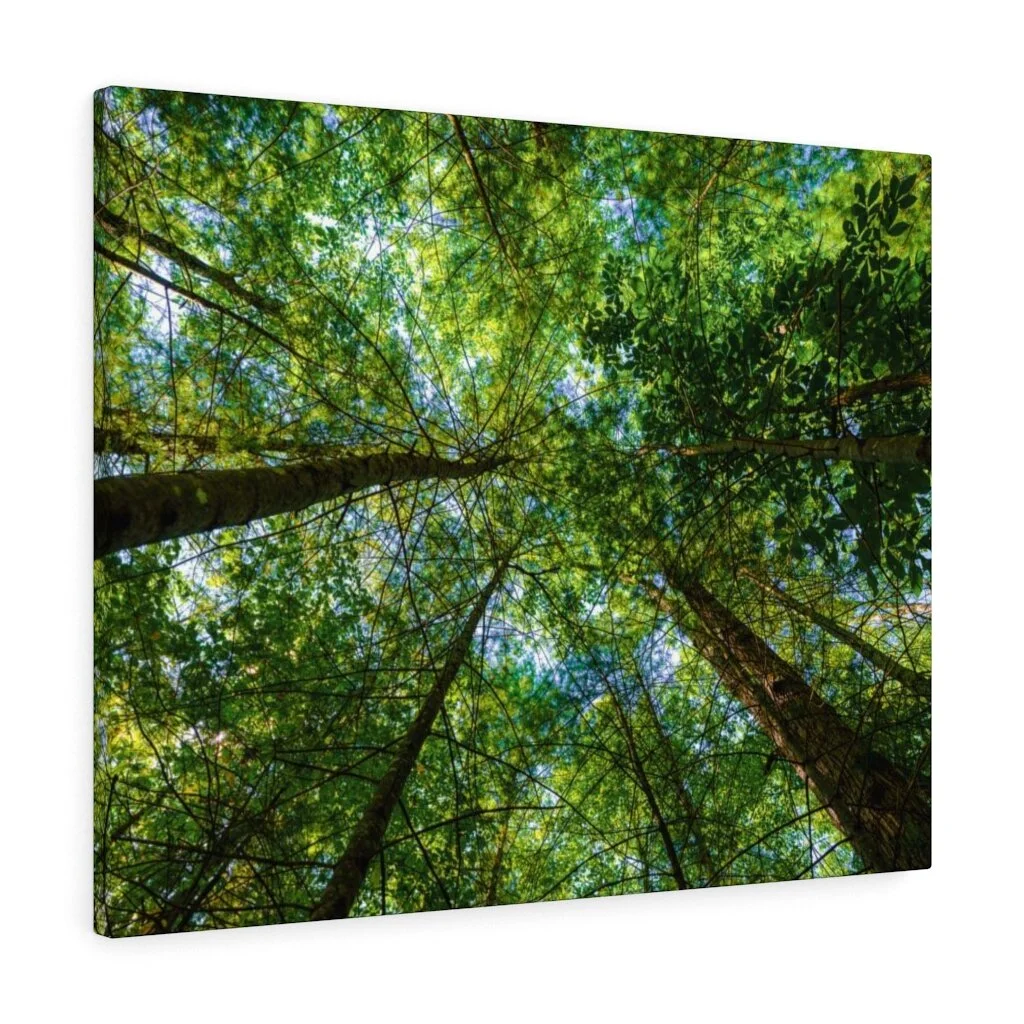 234e19a29c6ee971dc9b3a0ff3012be5