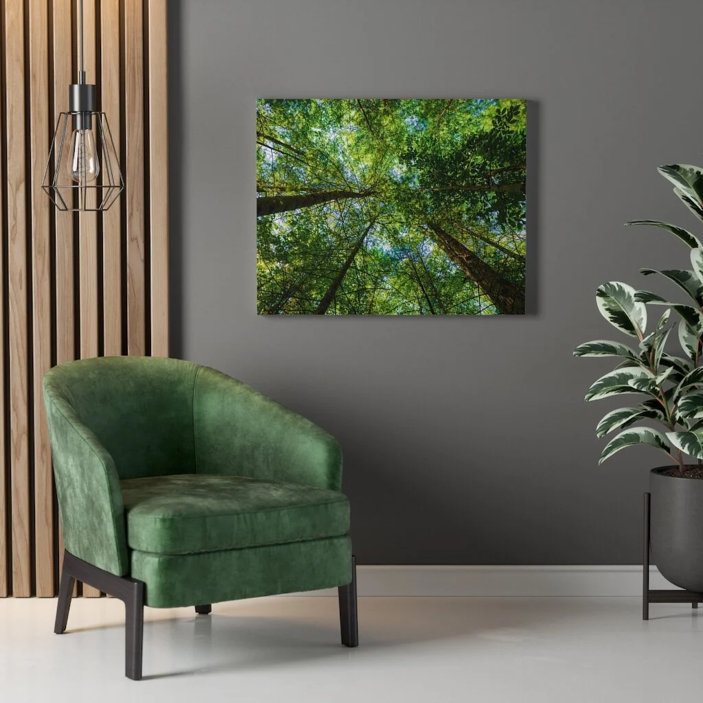 71d95be125a8bc8236db5a3ce57de223