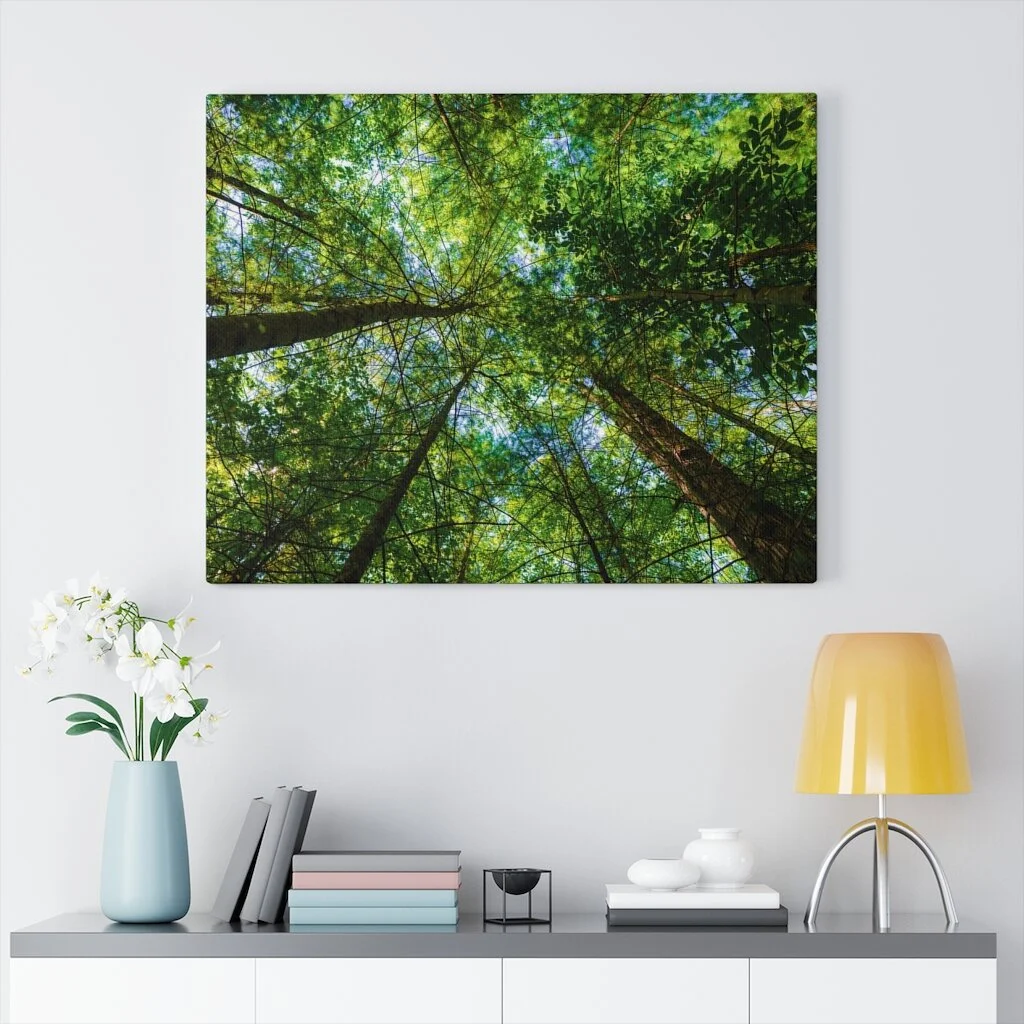 937e8082cc9fdfc83ff6444073f151b2