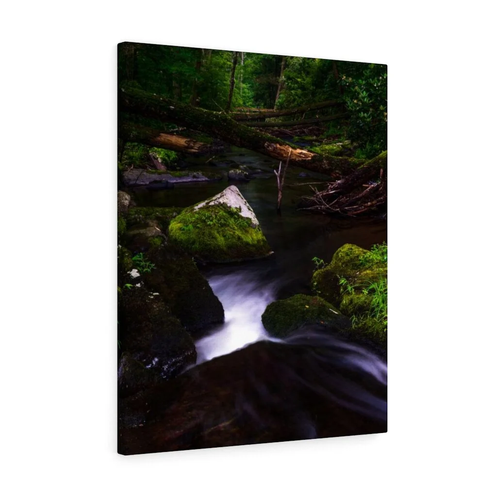 Forest Stream Canvas Print | Untethered Photo Store