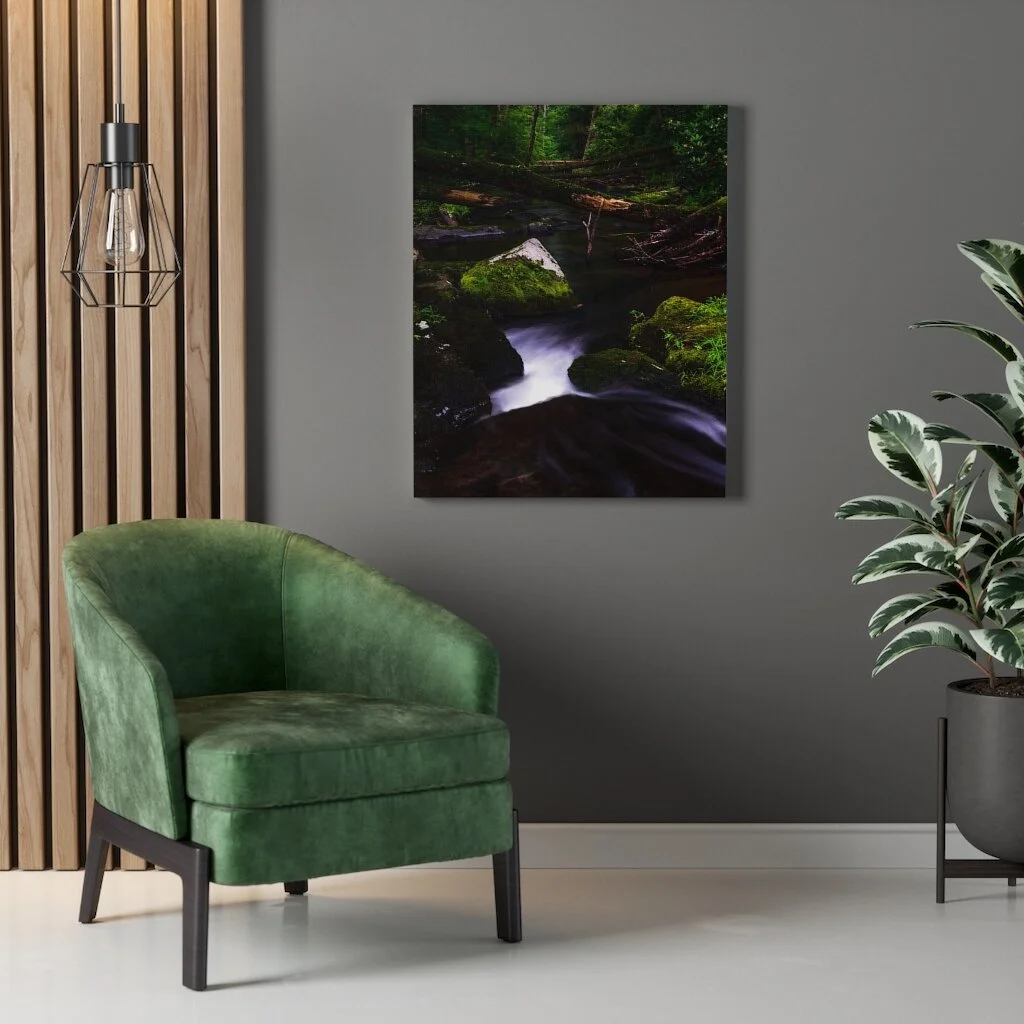 Forest Stream Canvas Print