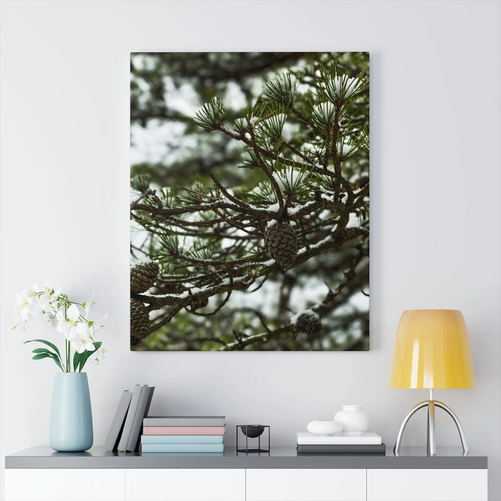 447e57c3065122e013b67e23a43f5569