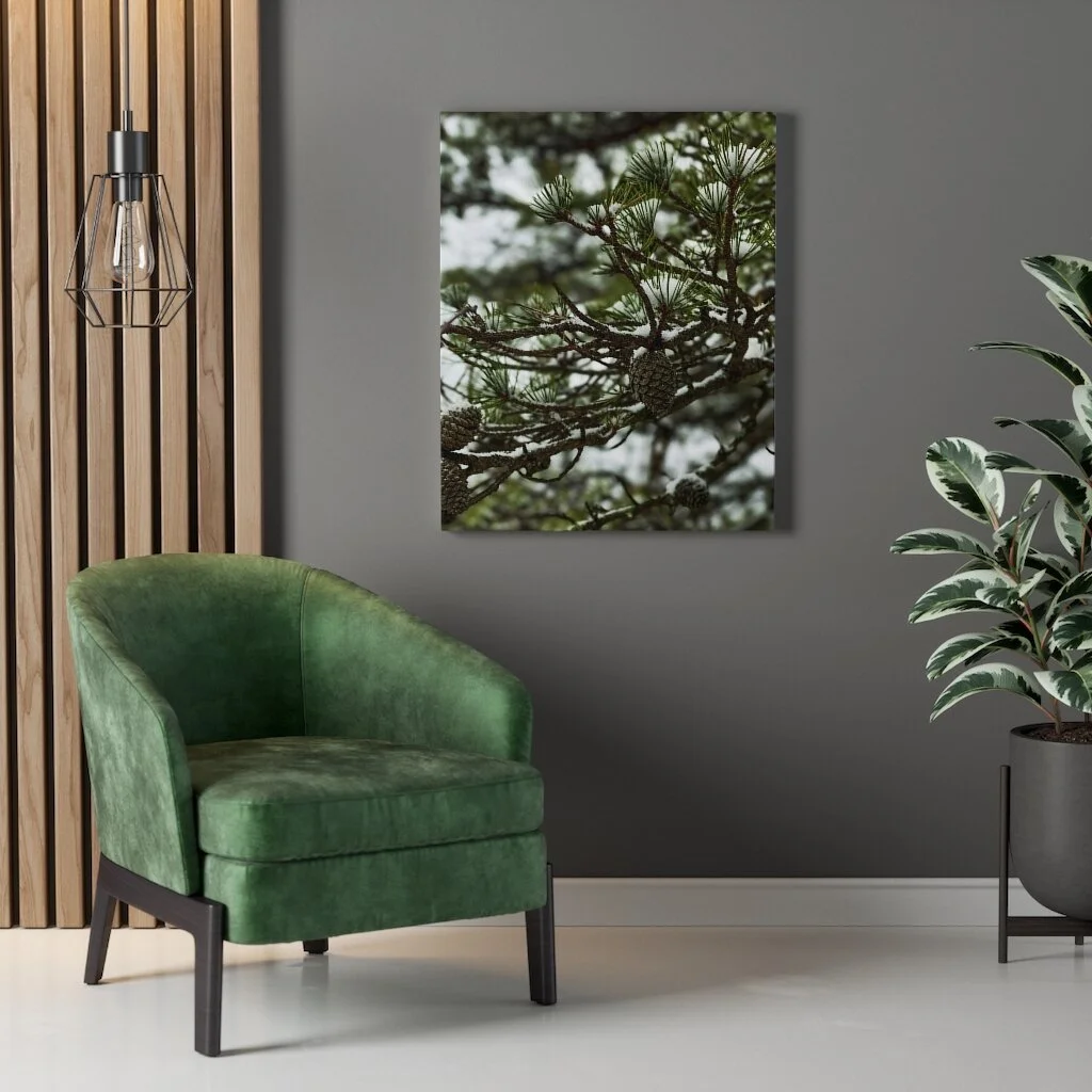 ad7653468f429e102ab68bec3d687430