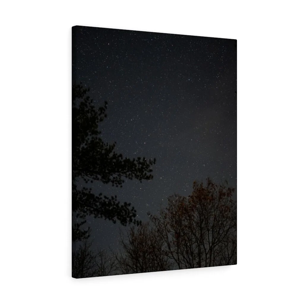 ae7965a67ab48a18b0fc3ffa46da2af8