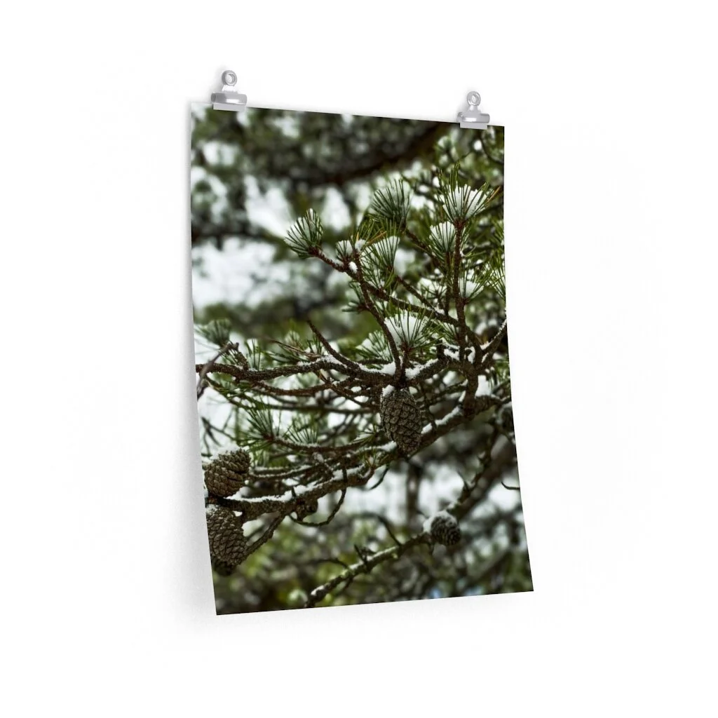 2fb707c026a46da724594b6f696f1044