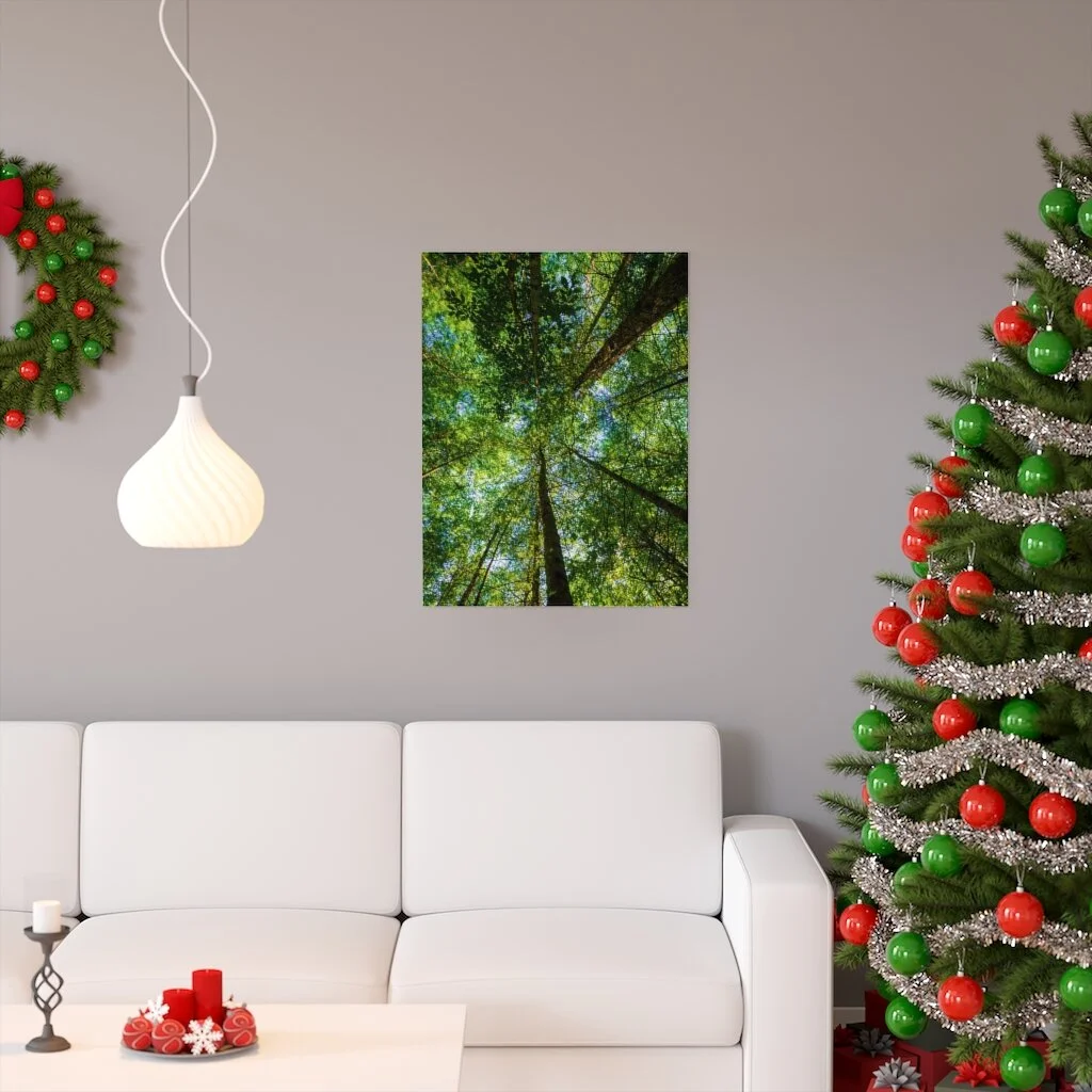 b31b2ef0c354317a2c95ebd9245e6143