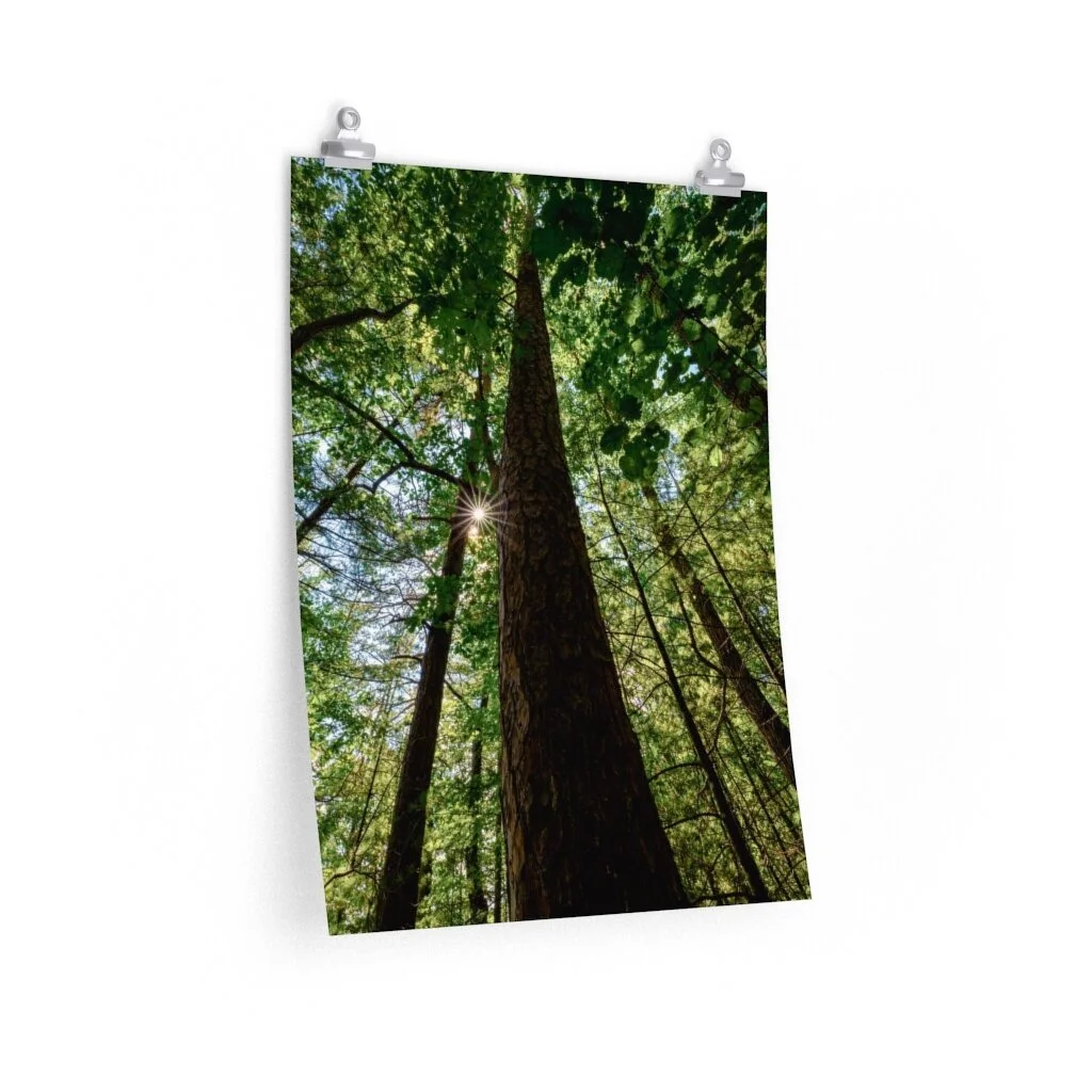 8fe6b3d2267d05c8c658b137b601e4db