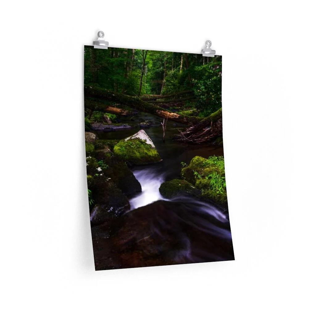 a2e31e06b37542ea0467d8dc93c85fcf