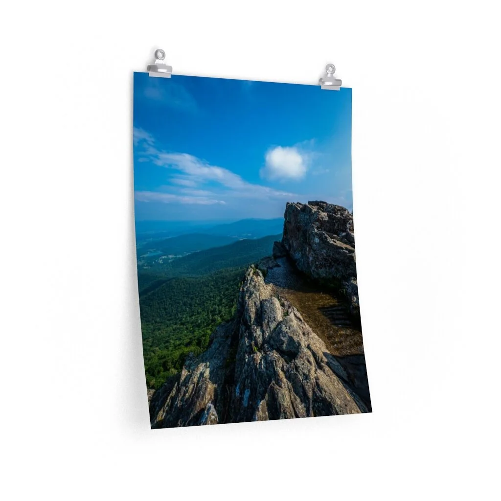 ff1665c4a5594012457e677282f61564