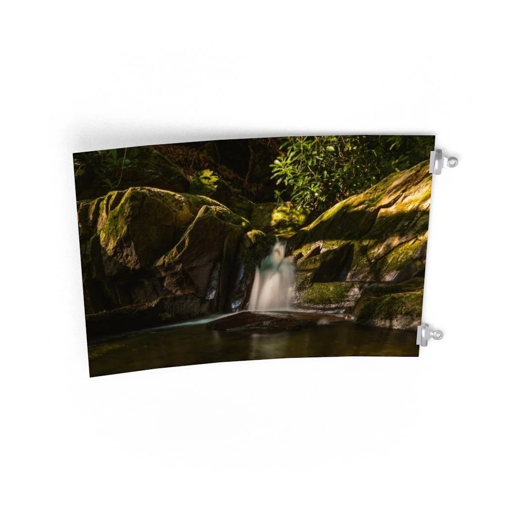 1bca9917357503c50f8e90fc62de374a