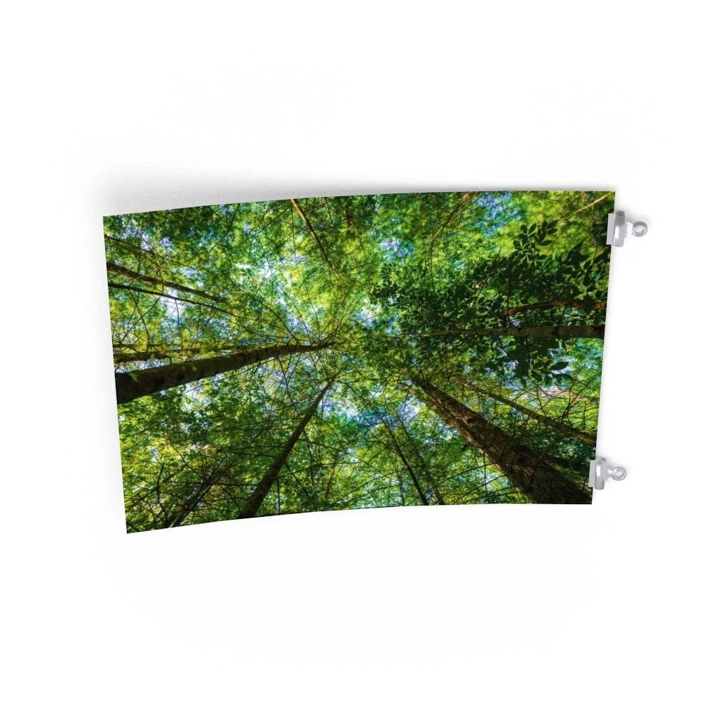 b8f75987ca56328d14d9fb65af1c1151