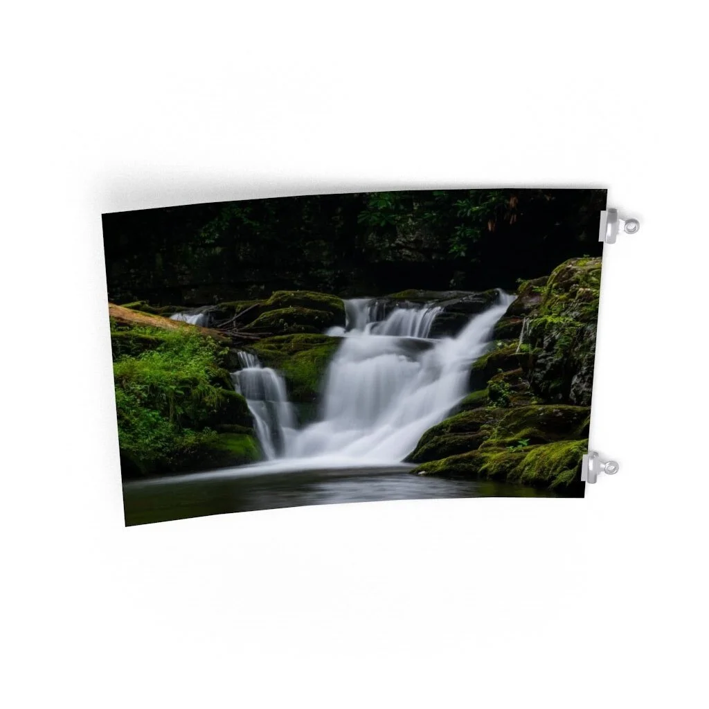 7336d4aa258ad85cbdd77c823a762521