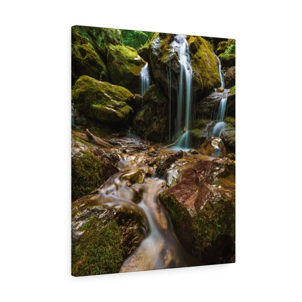 e8ab436e9d0afe648bd2d9d1f17a028b