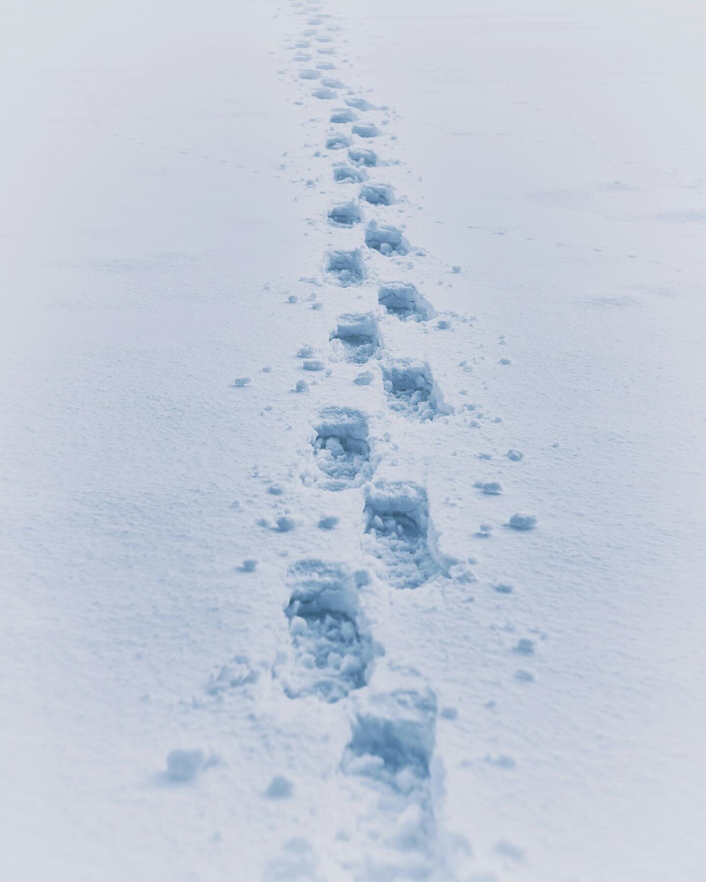 Looking to make your final footprints in the snow ❄️ before early spring arrives? Join us for a last minute getaway! We still have the rare sight of snow here in Bayfield with Alpine skiing, waterfall hikes and shoreline ice formations to explore.  P