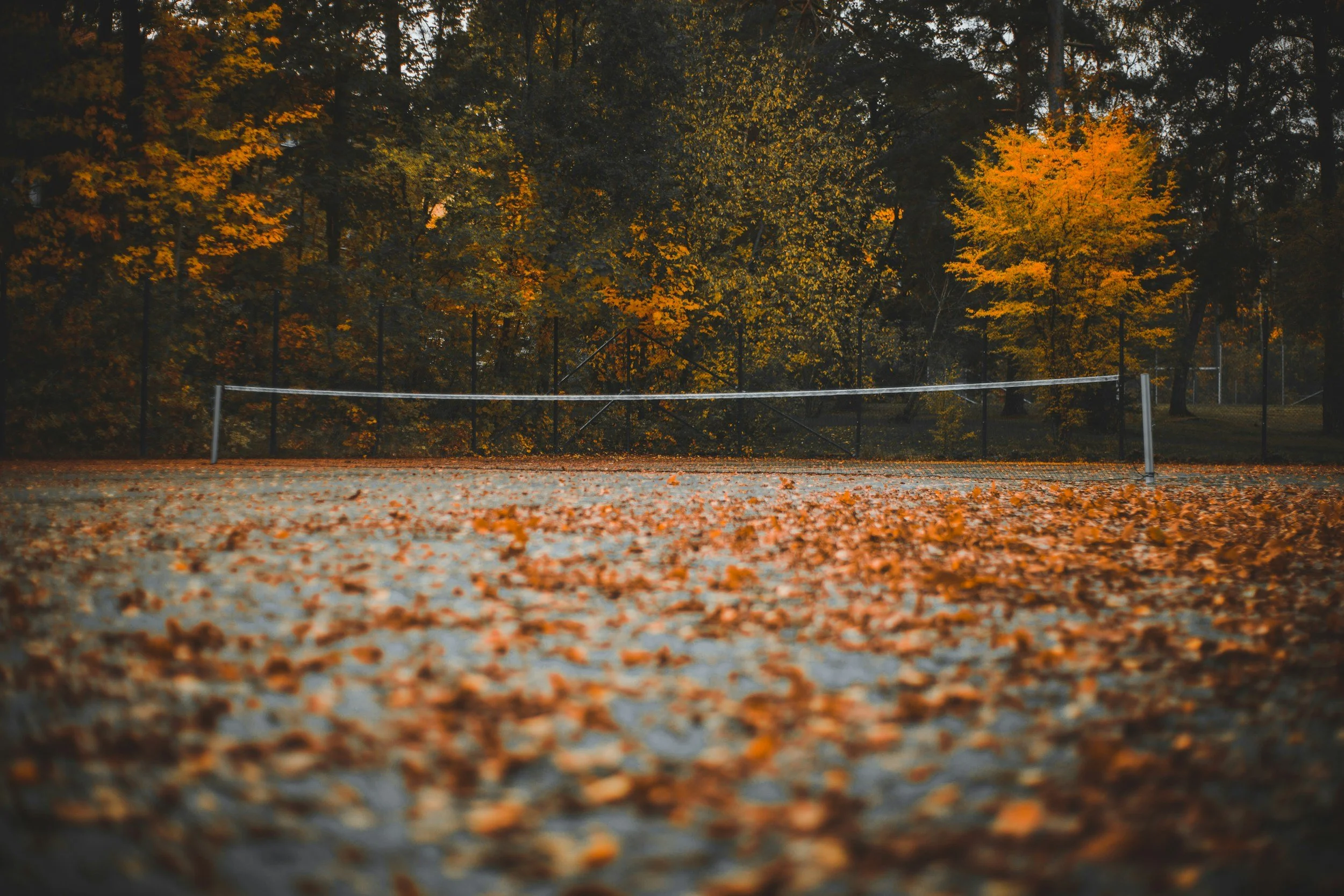 Fall Ladies Tennis Match