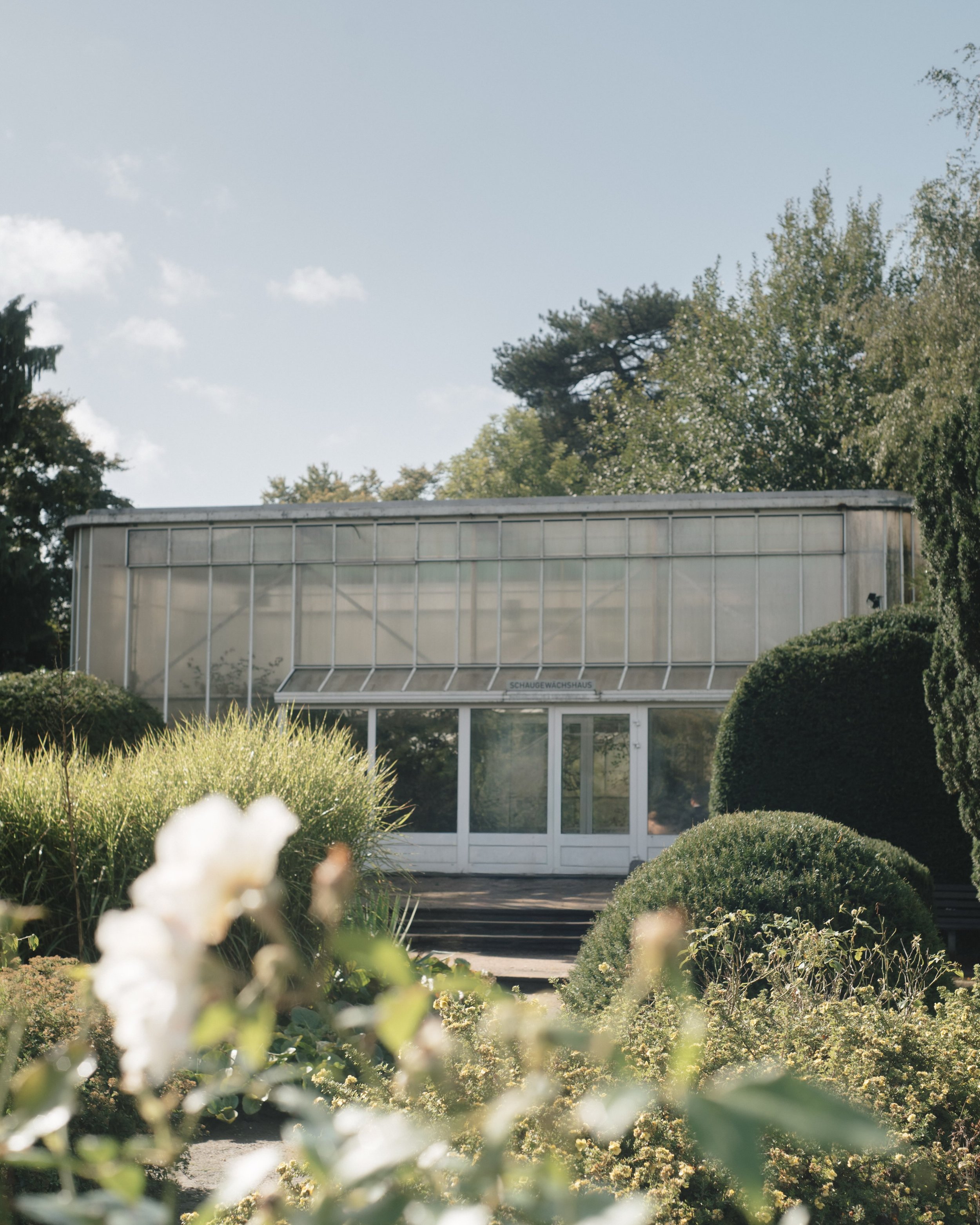 A location still from a recent wedding - shot at the Jenisch Park, Hamburg 

Hochzeitsfotografie Hamburg