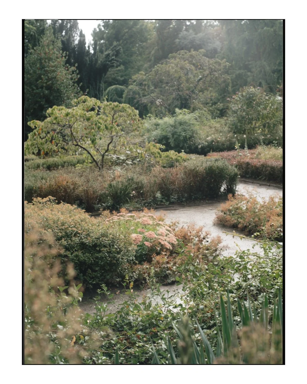 page0 73.JPG